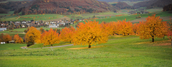 Fricktal – Herbst