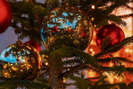 Imrpessionen LAw 2025